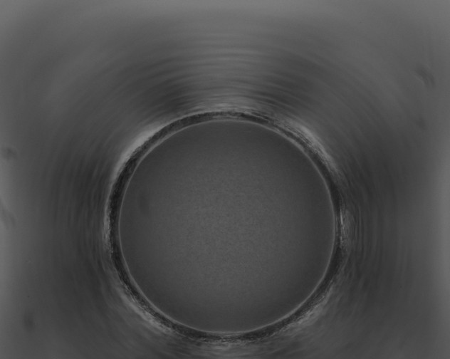 X0000091000780200708021559