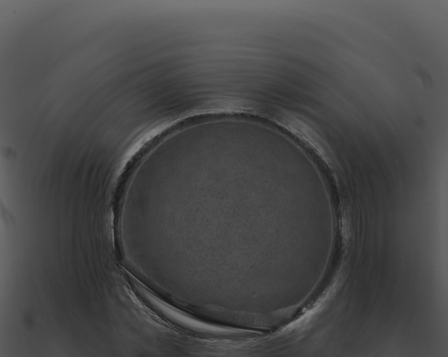 X0000091000781200708021559
