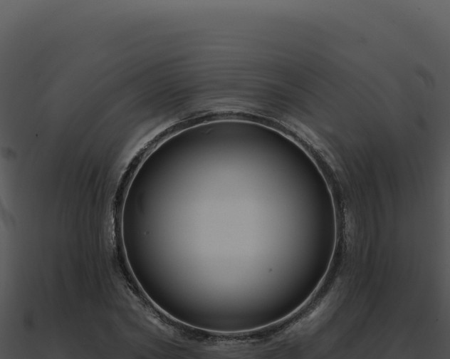 X0000091000782200708021559