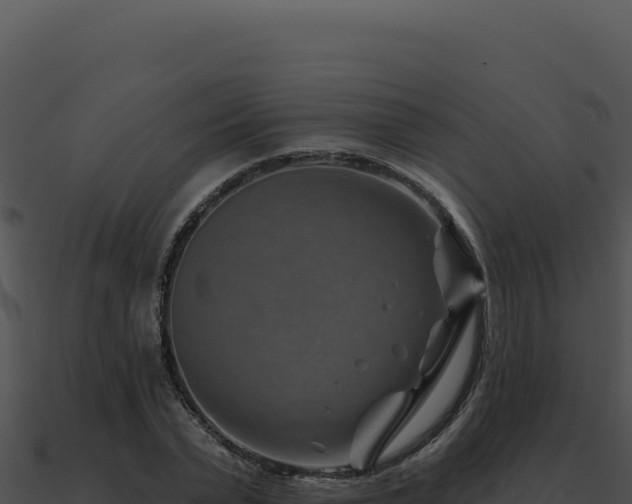 X0000091000783200708021559