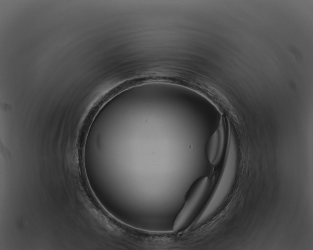 X0000091000784200708021559