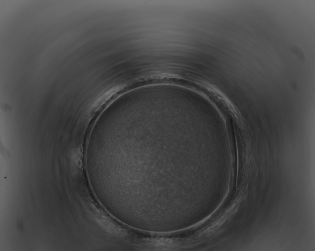 X0000091000785200708021559