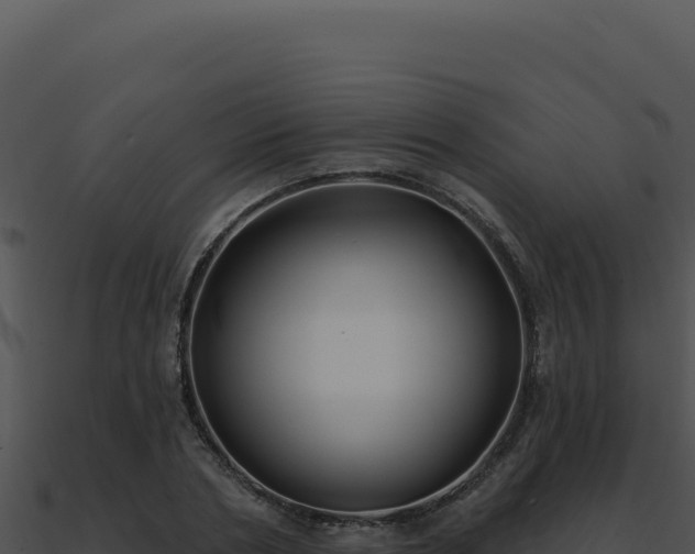 X0000091000786200708021559