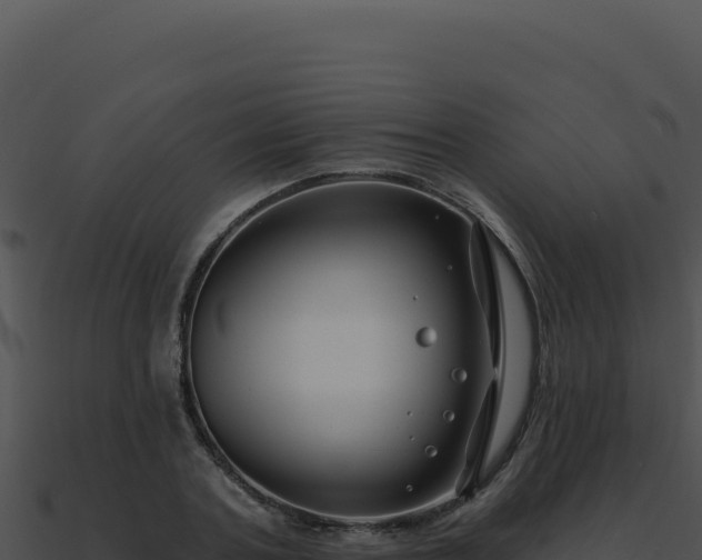 X0000091000787200708021559