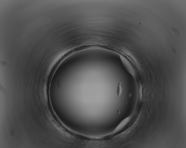 X0000091000788200708021559