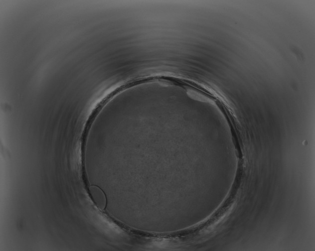 X0000091000790200708021559