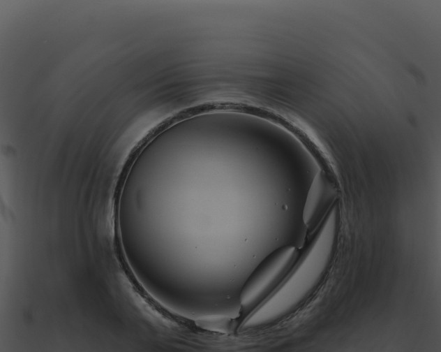 X0000091000791200708021559