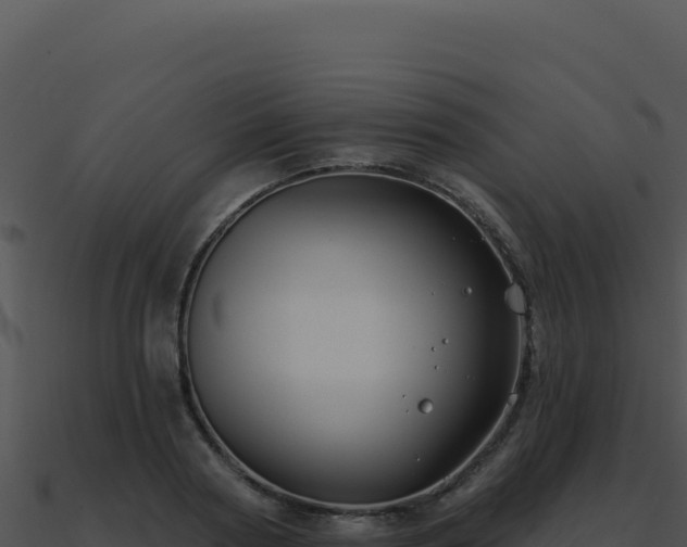 X0000091000794200708021559