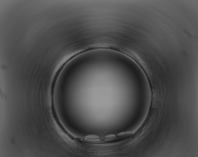 X0000091000795200708021559