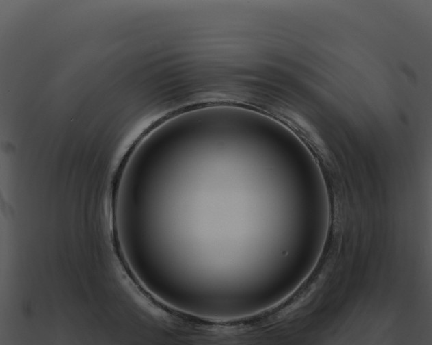 X0000091000796200708021559