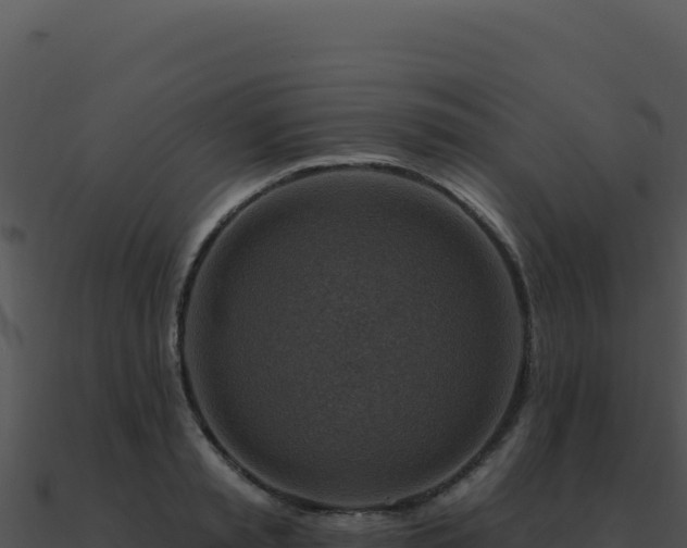 X0000091000797200708021559