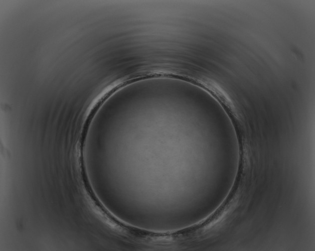 X0000091000798200708021559