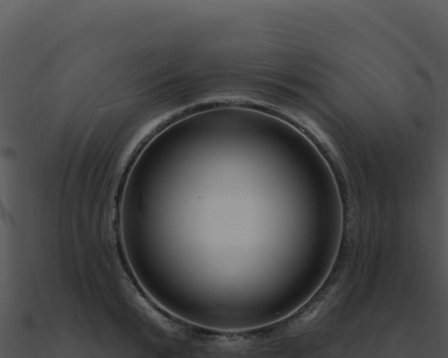 X0000091000799200708021559