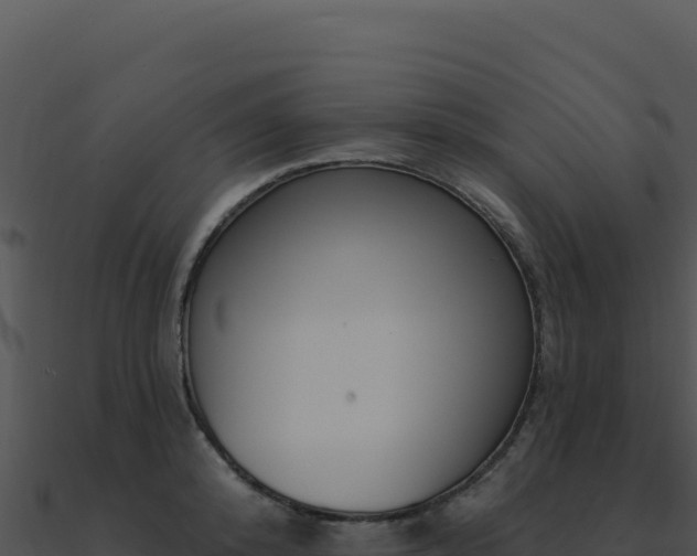 X0000091000800200708021559