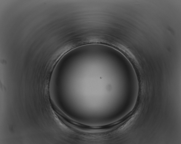 X0000091000801200708021559