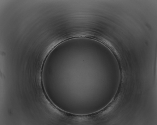 X0000091000802200708021559