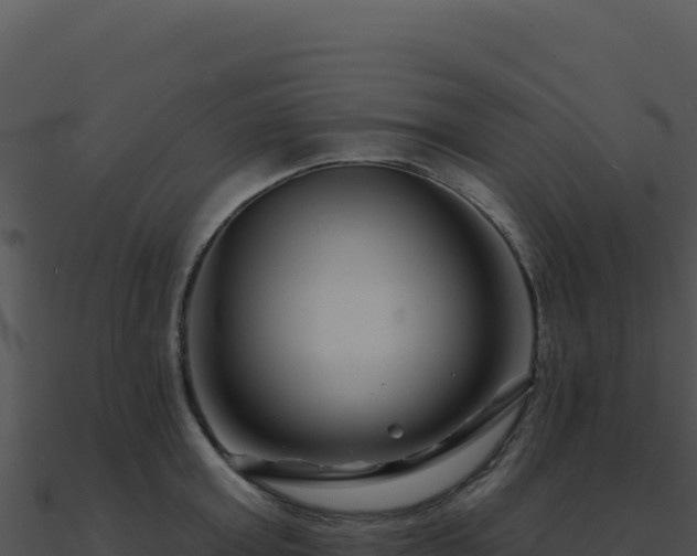 X0000091000803200708021559