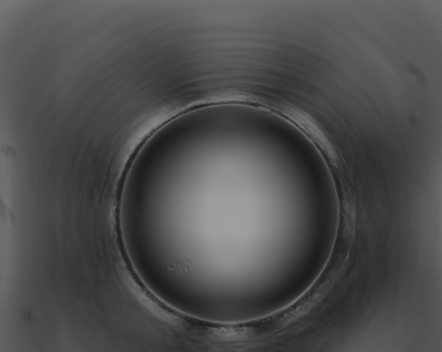 X0000091000805200708021559