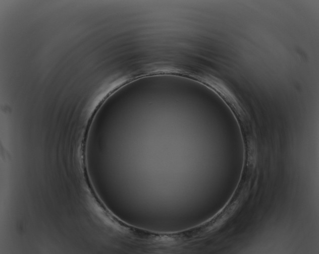 X0000091000806200708021559