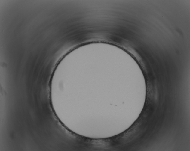 X0000091000807200708021559