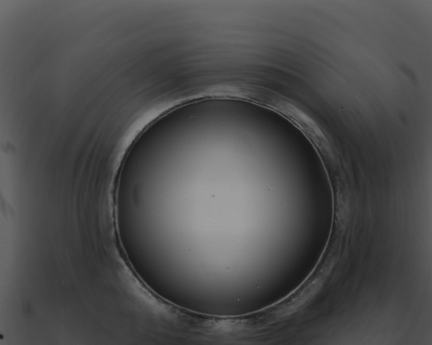 X0000091000808200708021559