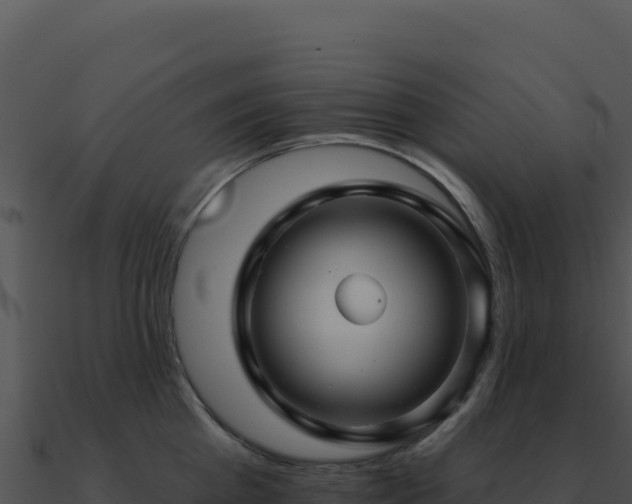 X0000091000809200708021559