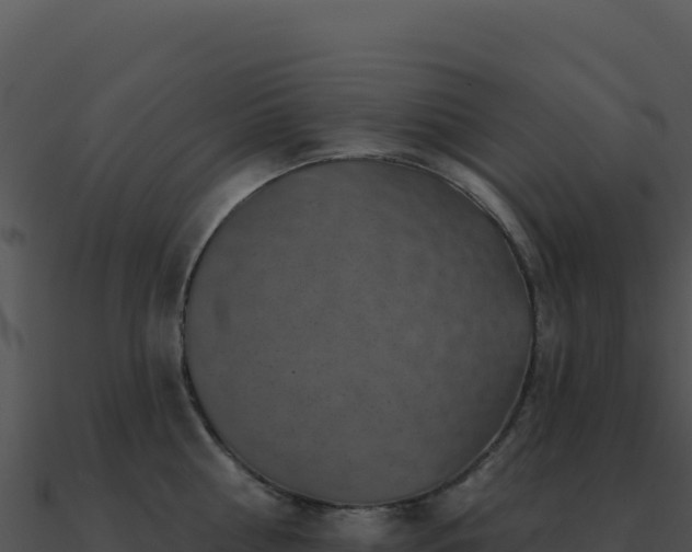 X0000091000810200708021559