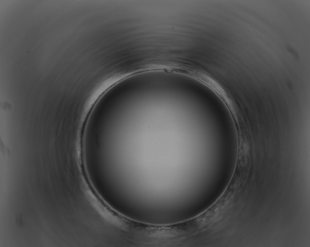 X0000091000811200708021559
