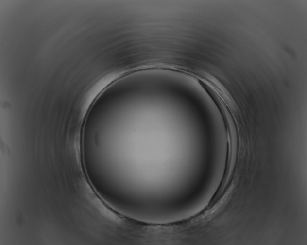 X0000091000812200708021559