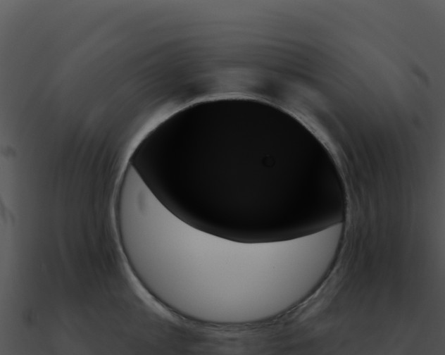 X0000091000813200708021559