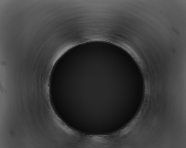 X0000091000814200708021559