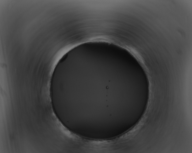 X0000091000816200708021559