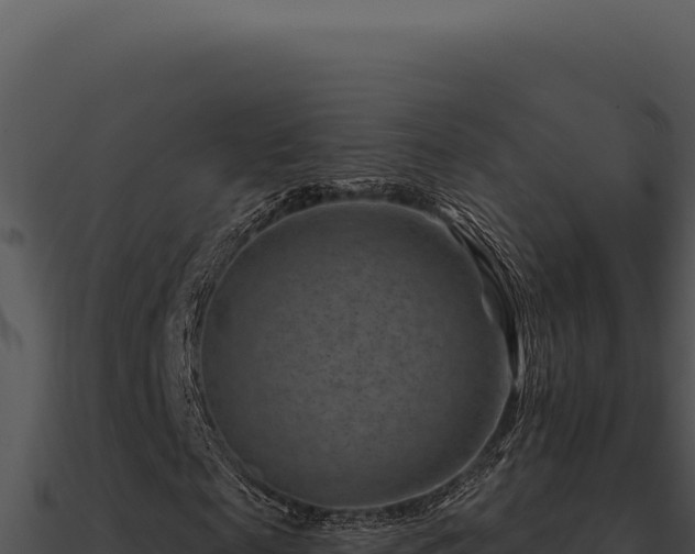 X0000091000817200708021558