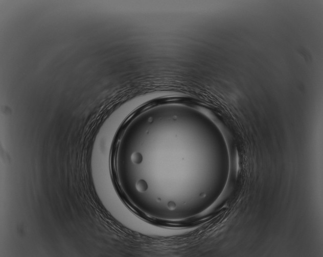 X0000091000818200708021558