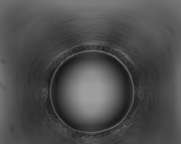 X0000091000821200708021558