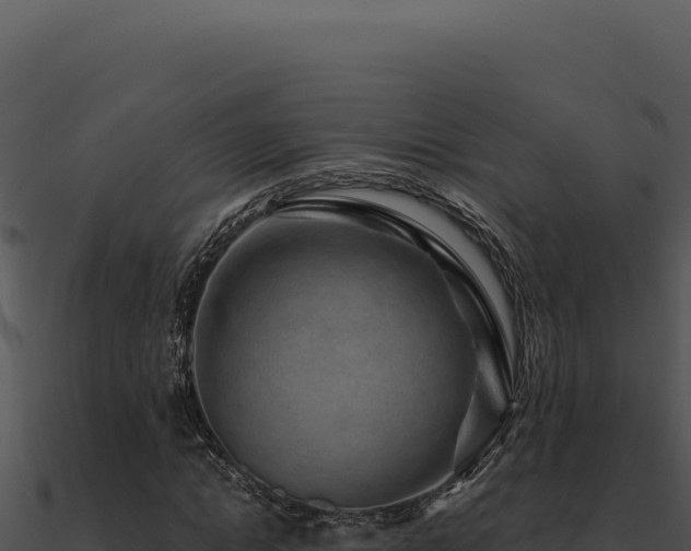 X0000091000822200708021558