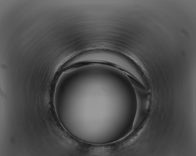 X0000091000826200708021558