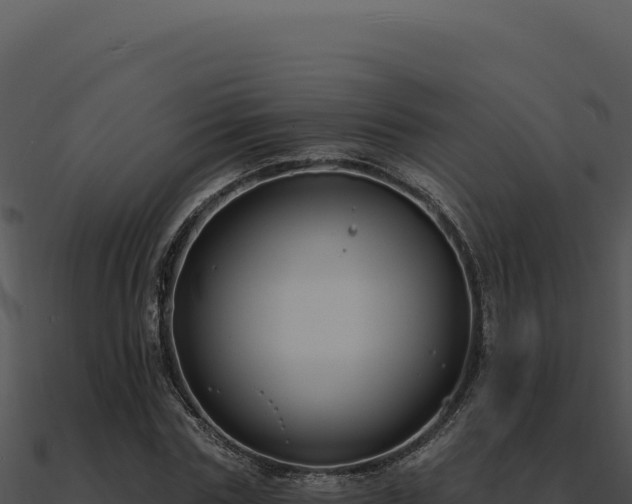 X0000091000827200708021558