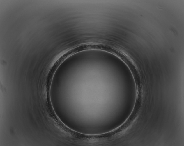 X0000091000829200708021558