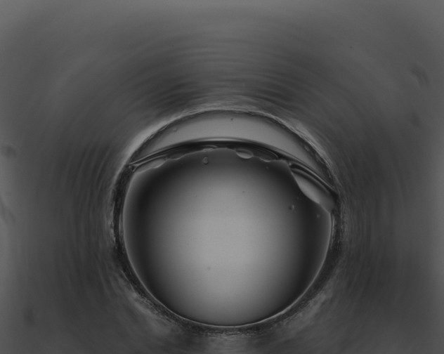 X0000091000830200708021558