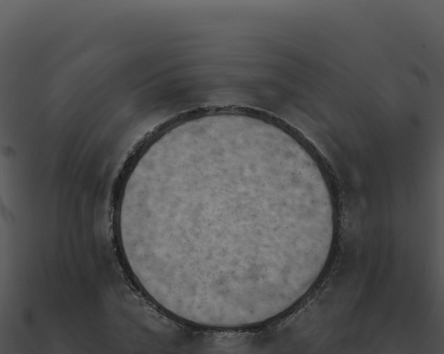 X0000091000832200708021558