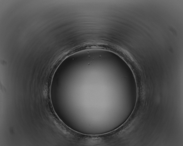 X0000091000833200708021558