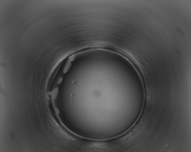 X0000091000835200708021558