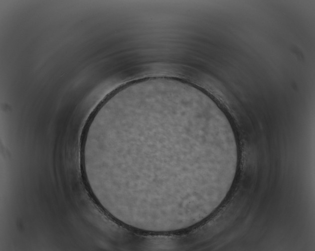 X0000091000836200708021558