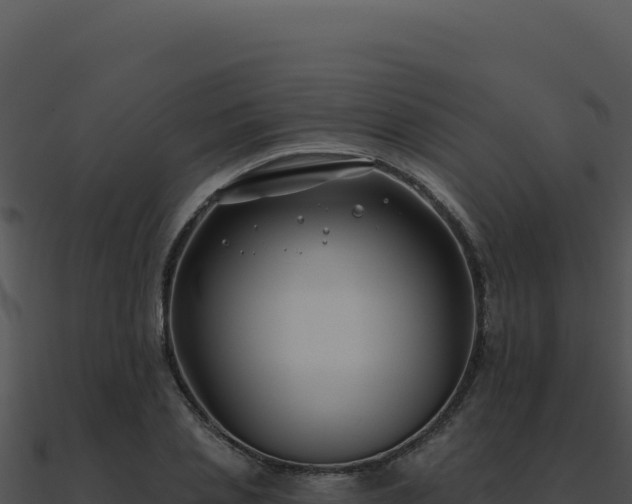 X0000091000837200708021558