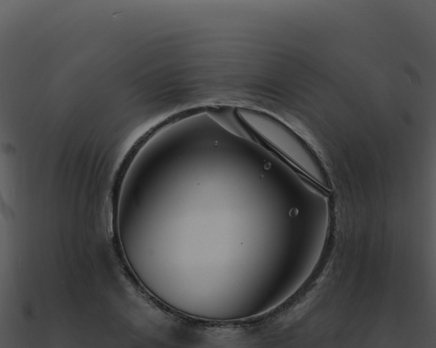 X0000091000838200708021558