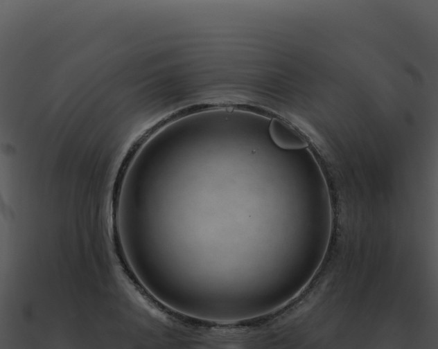 X0000091000840200708021558