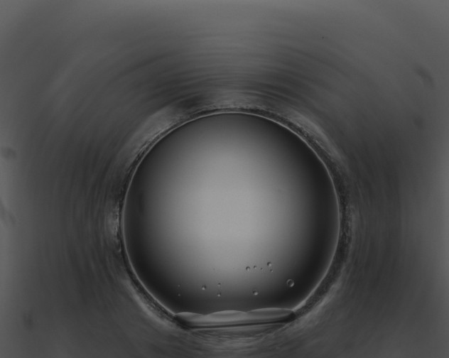 X0000091000841200708021558