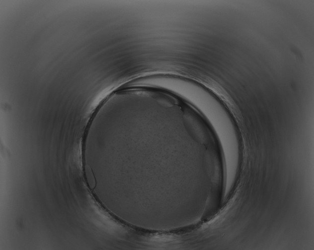 X0000091000842200708021558