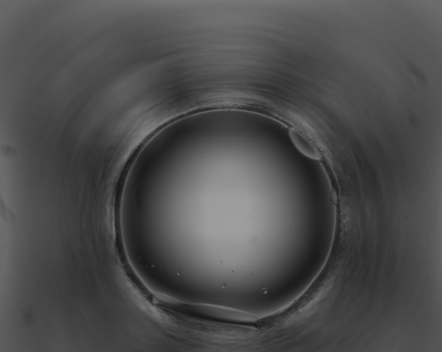 X0000091000843200708021559